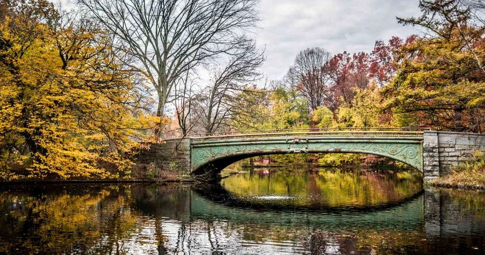 Where to Get the Best Photos on the Brooklyn Bridge?