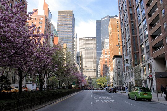 Tour image 1